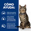 12 sobres x 85 g Hill's Prescription Diet Metabolic Feline pouches para gato , , large indicador imagen numero 5